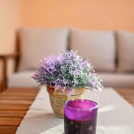 In 50616 Apartment *